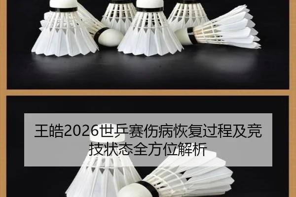 wang-hao-shi-ping-sai-shang-bing-hui-fu-guo-cheng-ji-jing-ji-zhuang-tai-quan-fang-wei-jie-xi-2-330.jpg