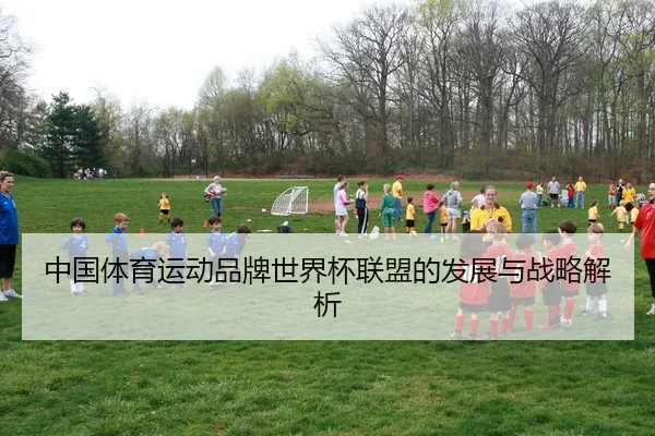 中国体育运动品牌世界杯联盟的发展与战略解析